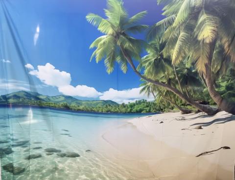 Beach with palms backdrop
