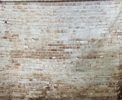 Brick backdrop