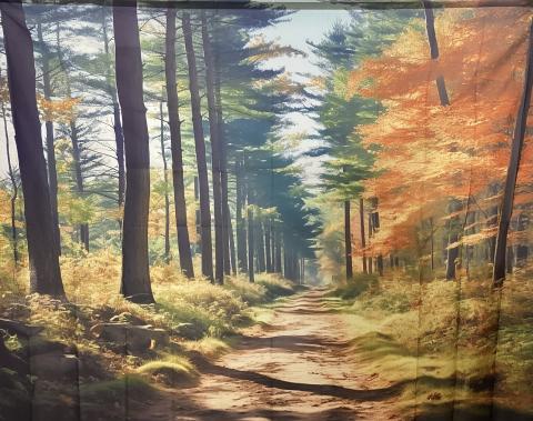Fall forest backdrop