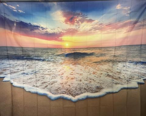 Beach Sunset backdrop