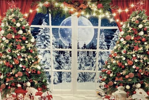 Christmas Window backdrop