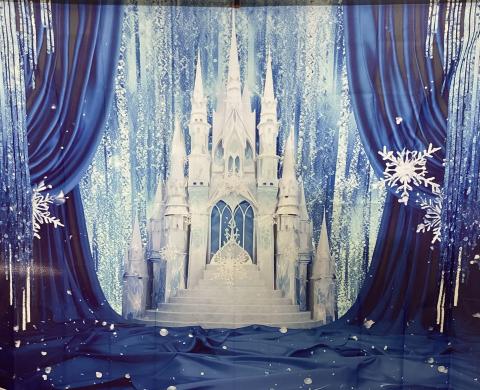 Elsa's Castle backdrop