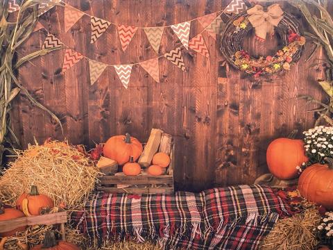 Pumpkin patch background